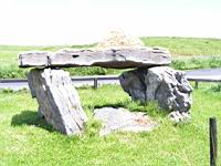 Irlande - Co Clare - The Burren - Dolmen pres de Leamaneh Castle (2)